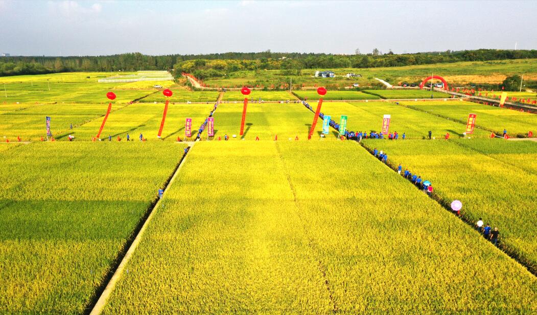 QQ截圖20201211132313.jpg QQ截圖20201211132313.jpg