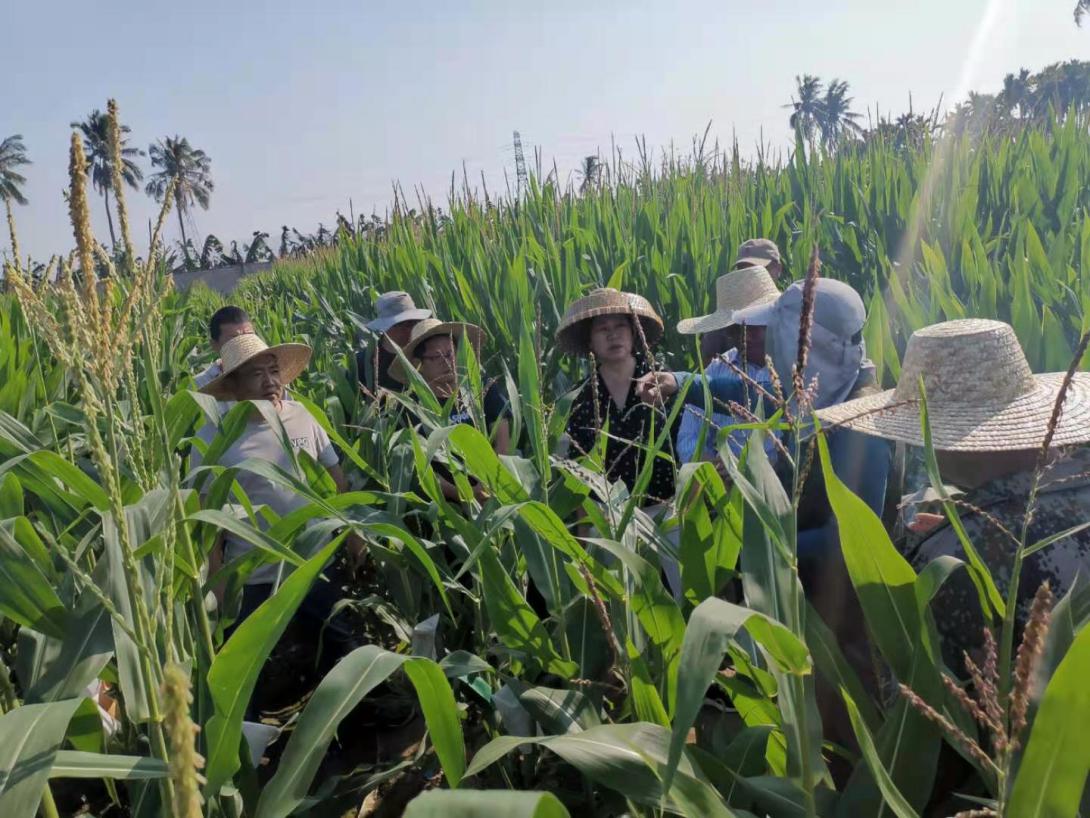 圖片3.jpg 圖片3.jpg