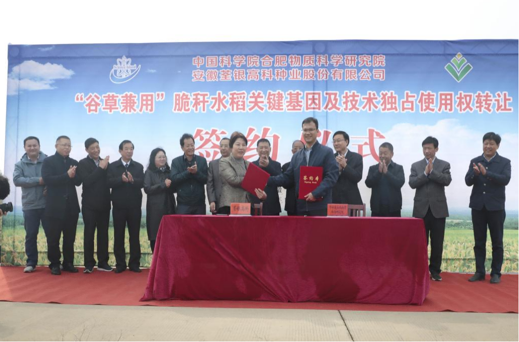 圖片11(1).png 圖片11(1).png