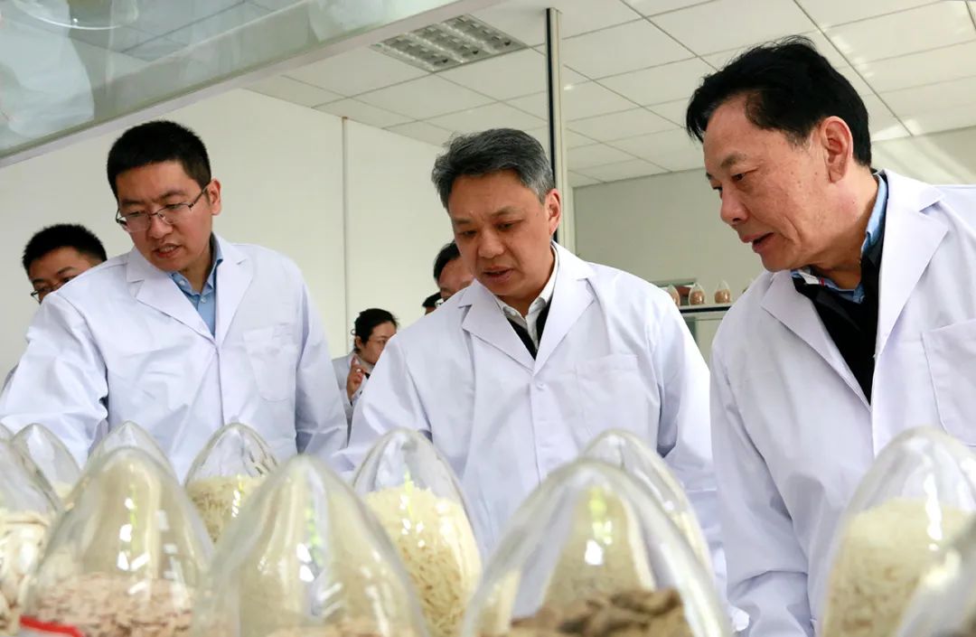 微信圖片_20220306202910.jpg 微信圖片_20220306202910.jpg