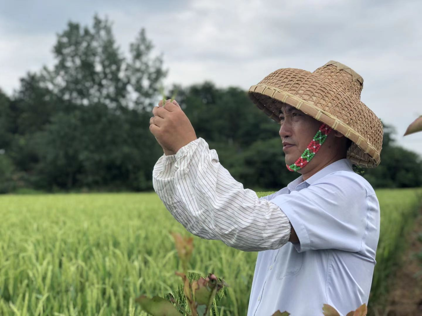 圖片1.png 圖片1.png