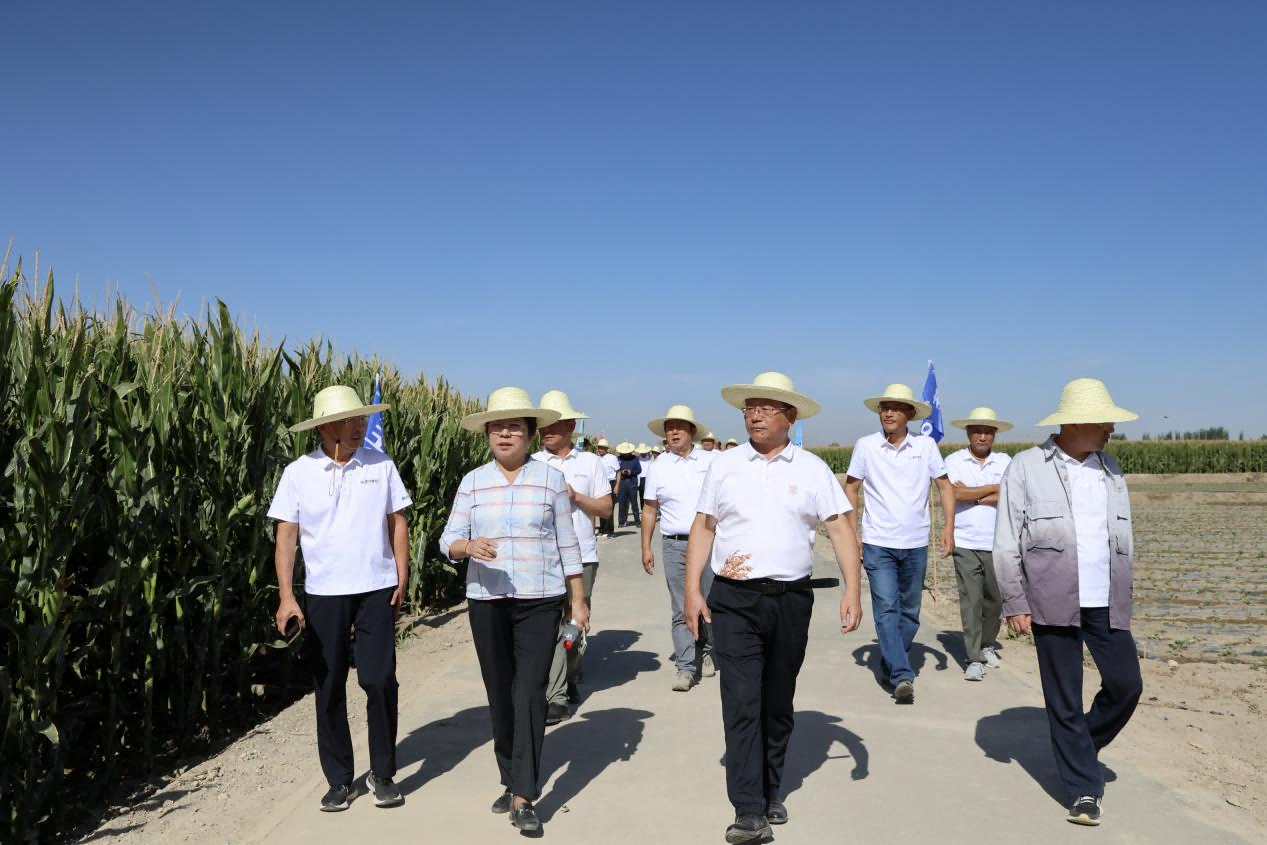 圖片8.png 圖片8.png