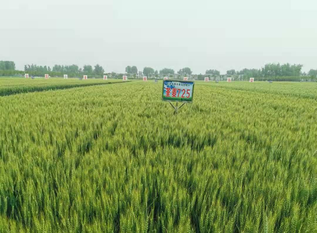 1、荃麥725.jpg 1、荃麥725.jpg